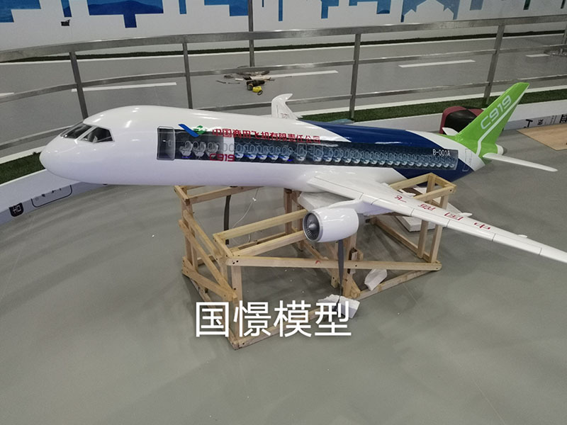 泗阳县飞机模型