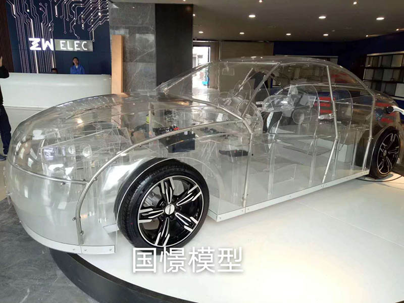 泗阳县透明车模型